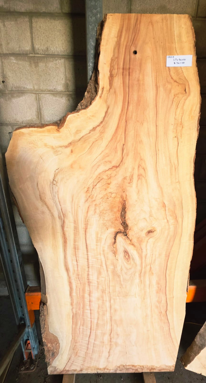 Camphor Laurel Timber Slab – Unique Australian Hardwood (Price per Slab)- Size: 1900 x 600 x 50mm