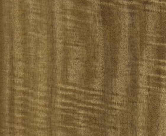 Vitex Hardwood – Premium Tropical Timber (Price per Cubic Meter)