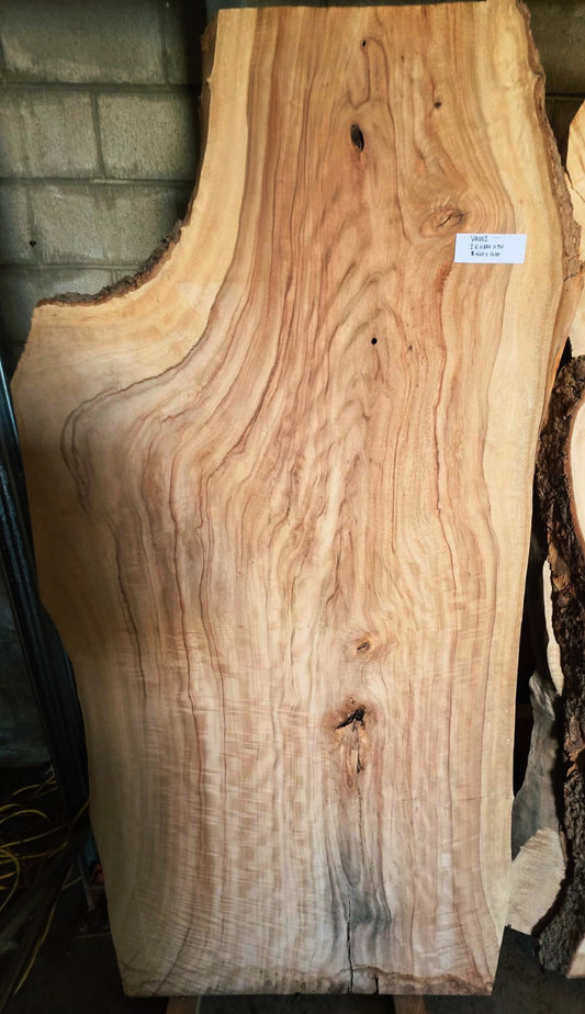 Camphor Laurel Timber Slab – Unique Australian Hardwood (Price per Slab)