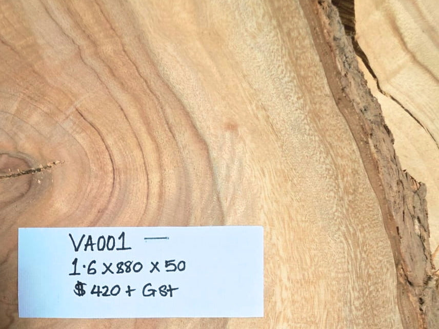 Camphor Laurel Timber Slab – Unique Australian Hardwood (Price per Slab)