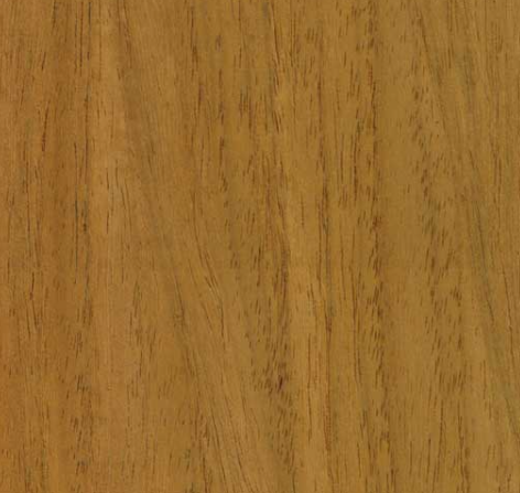 New Guinea Rosewood – Premium Hardwood (Price per Cubic Meter)